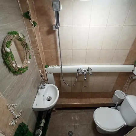 в каюта * 布尔加斯